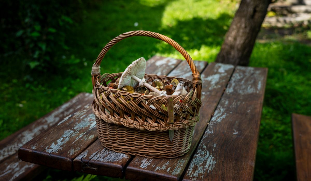 Preparing a Country Garden for Winter Frosts